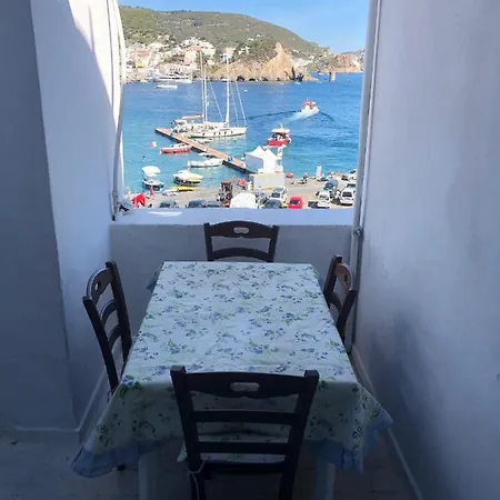 Magi - Ulivo * Ponza